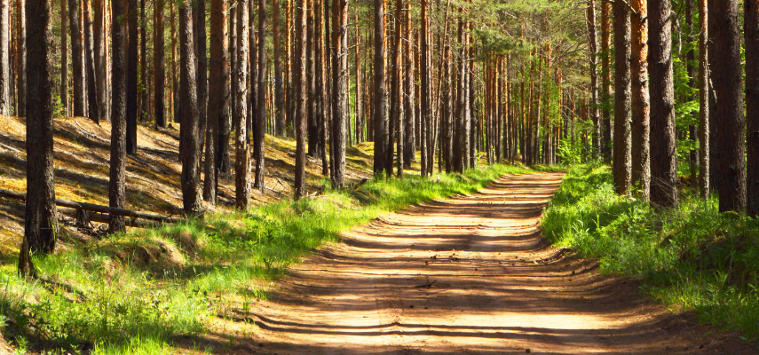 gemensamhetsanläggning väg