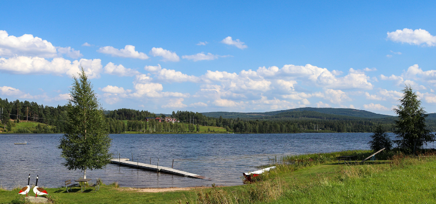 Gemensamhetsanläggning