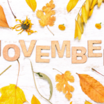 Snitträntor i november 2025